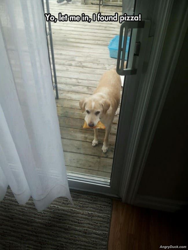 Yo Let Me In