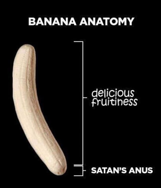 Banana Anatomy