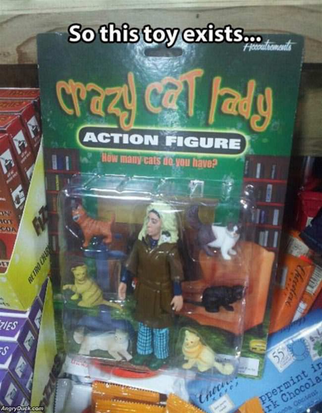 Crazy Cat Lady Action Figure