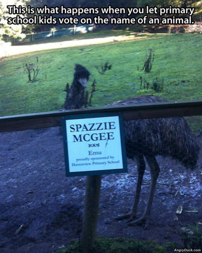 Spazzie