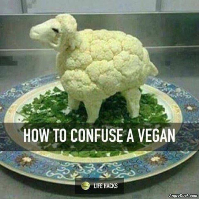 Confuse A Vegan