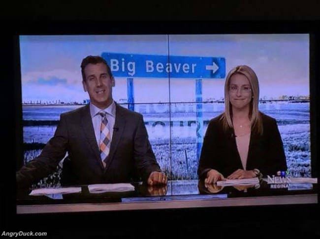 Big Beaver