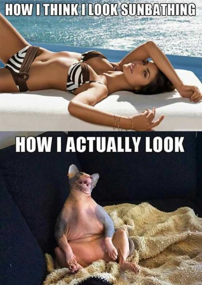 How I Think I Look Sunbathing