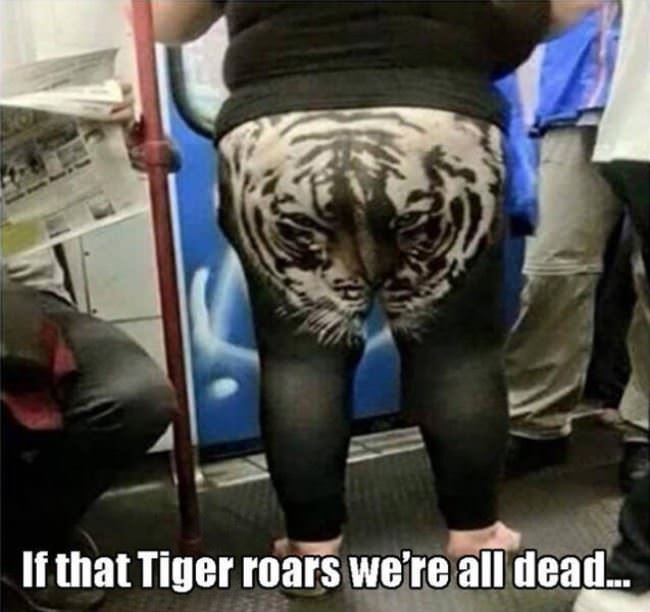 The Tiger Roar