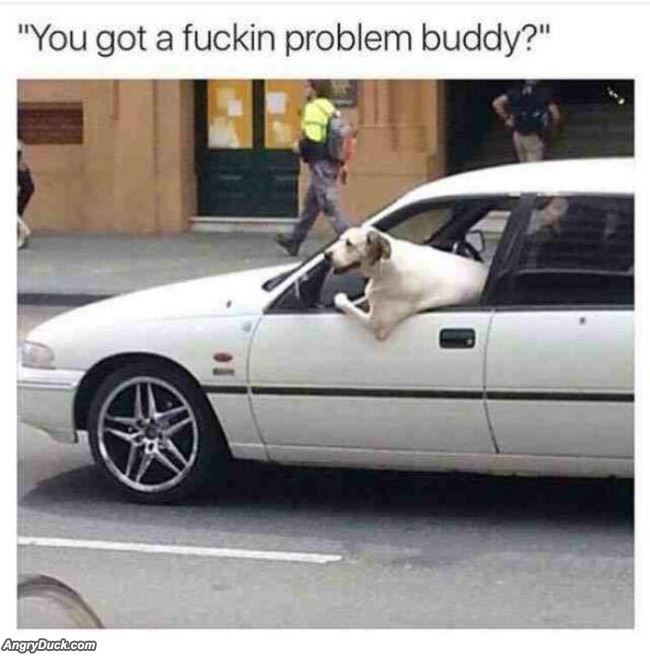 You Got A Problem