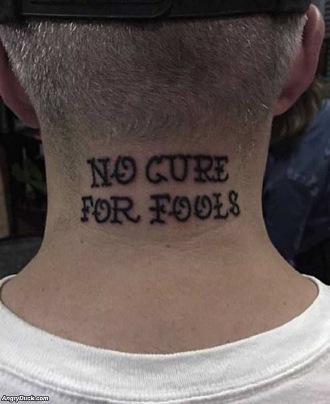 No Cure For Fools