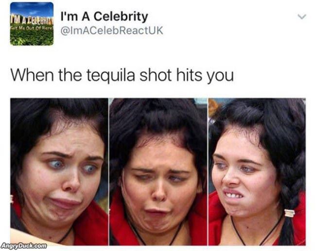 The Tequila Shot