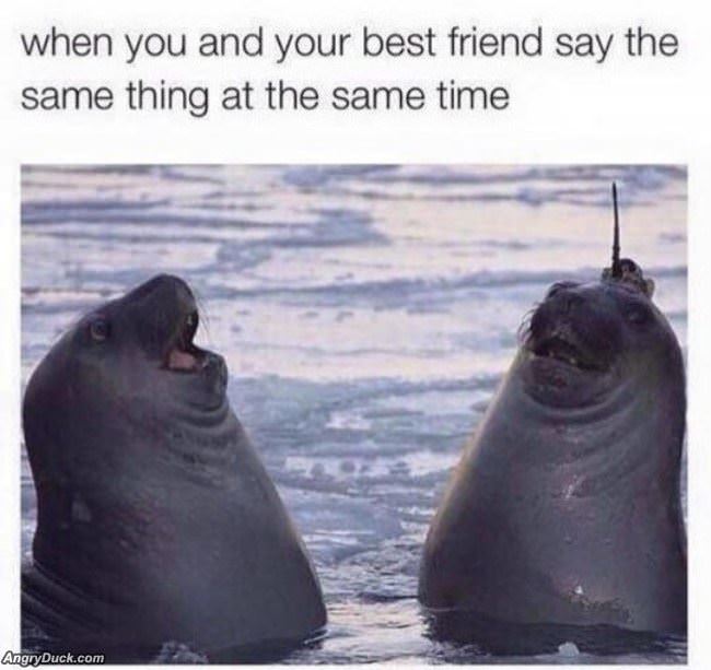 When You And Your Friend Say The Same Thing