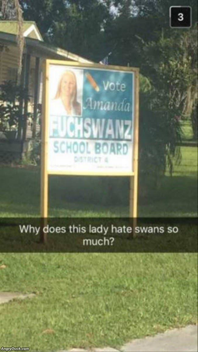 Why Does She Hate Swans