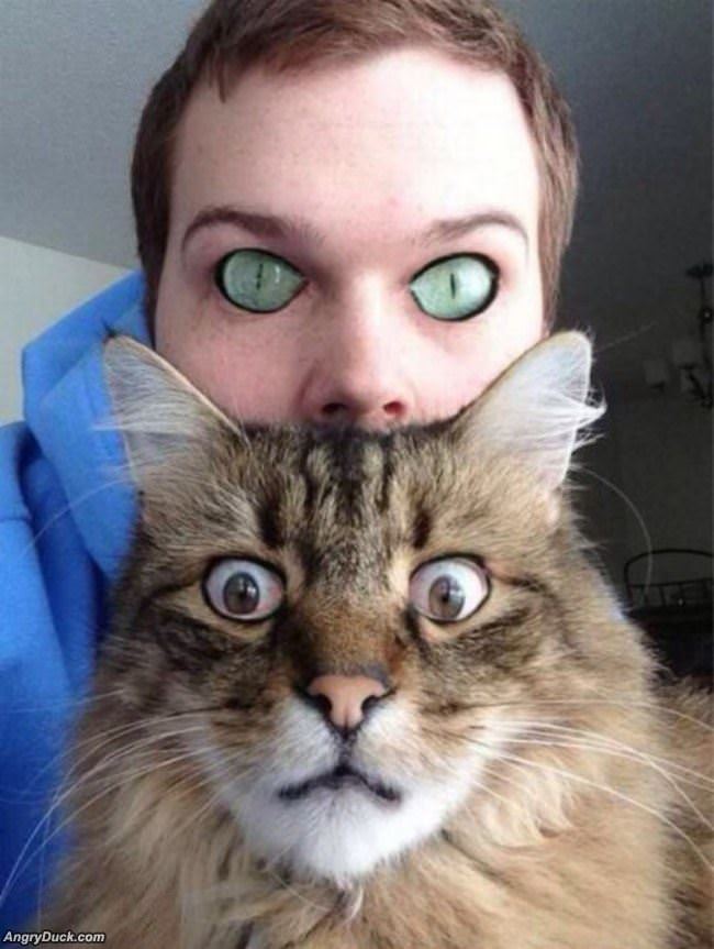 Eye Swap