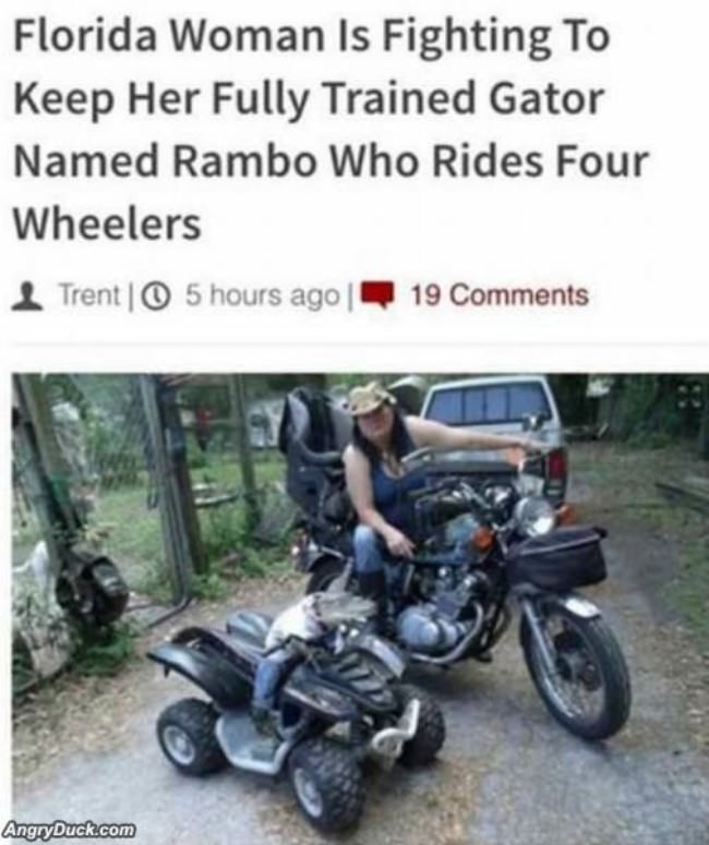 Only In Florida