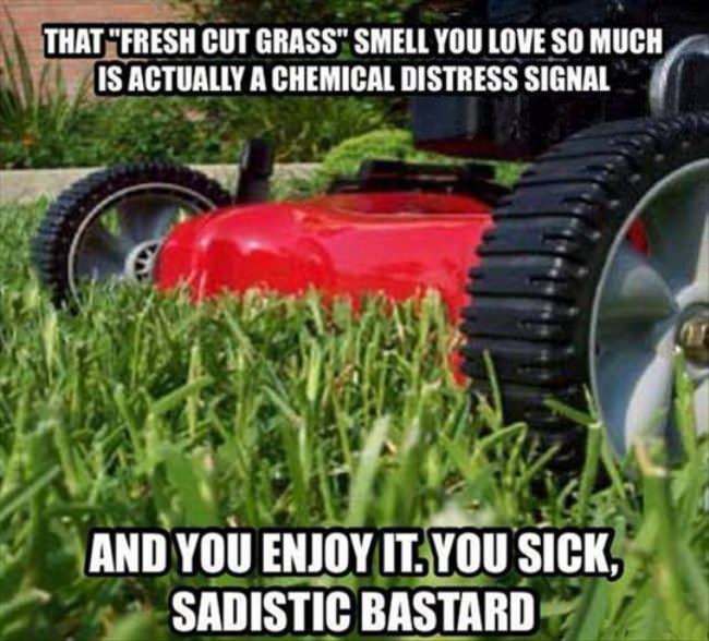 That Fresh Cut Grass