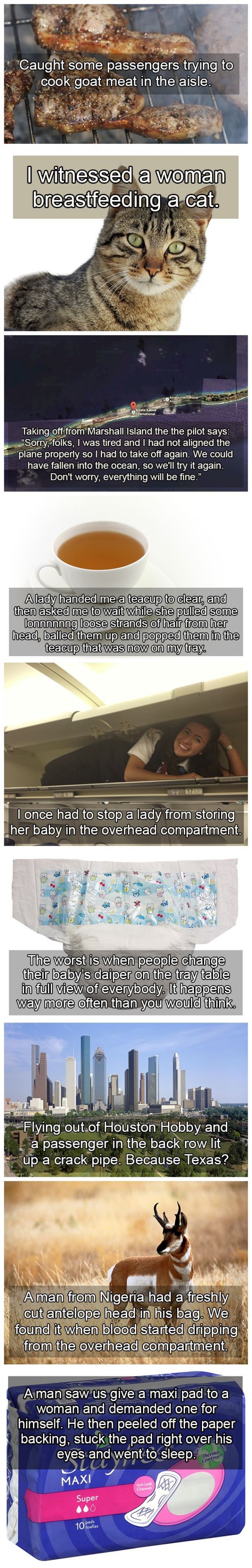 Weird Things Flight Attendants Have Seen