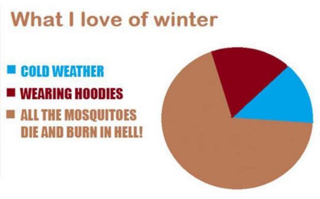 What I Love About Winter