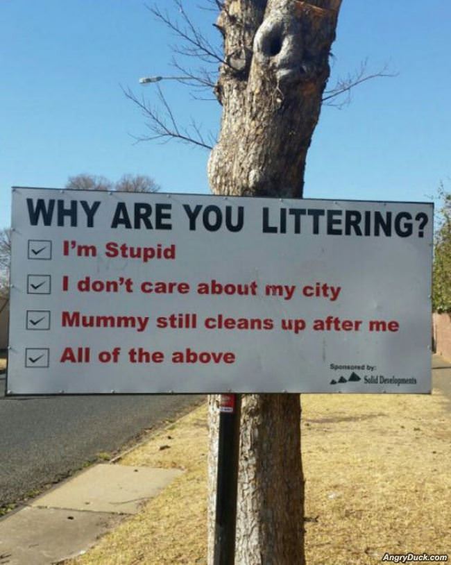 Why Are You Littering