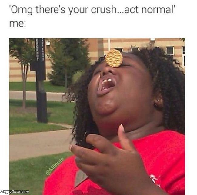 Your Crush