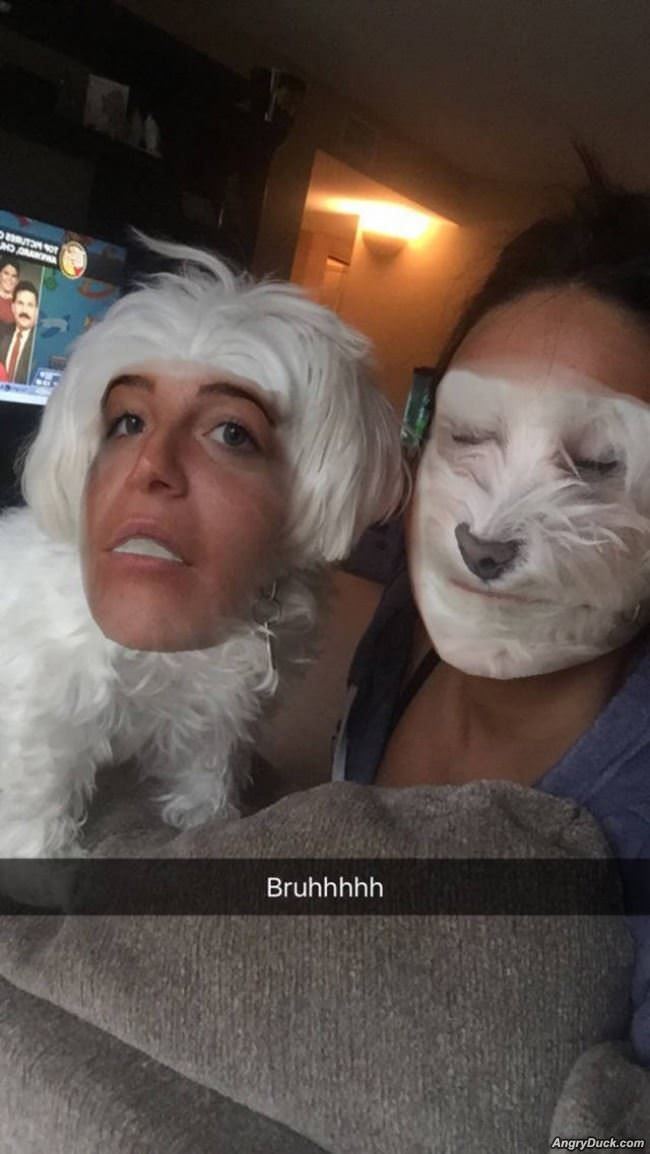 Dog Face Swap