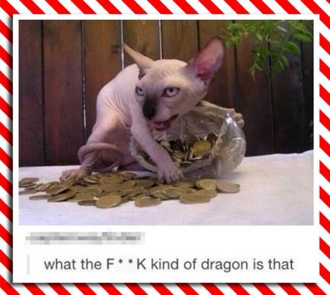 What Kind Of Dragon