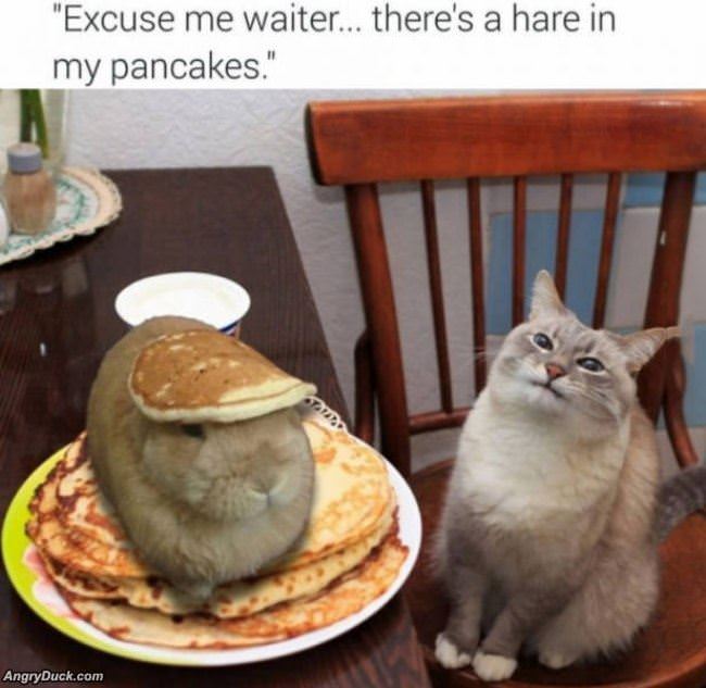 Excuse Me Waiter