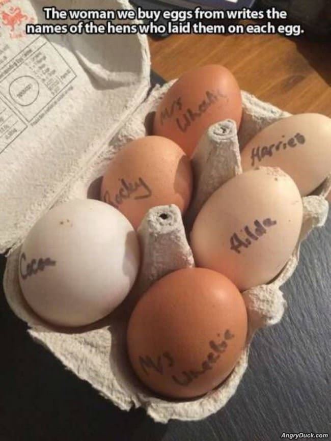 Names On Every Egg