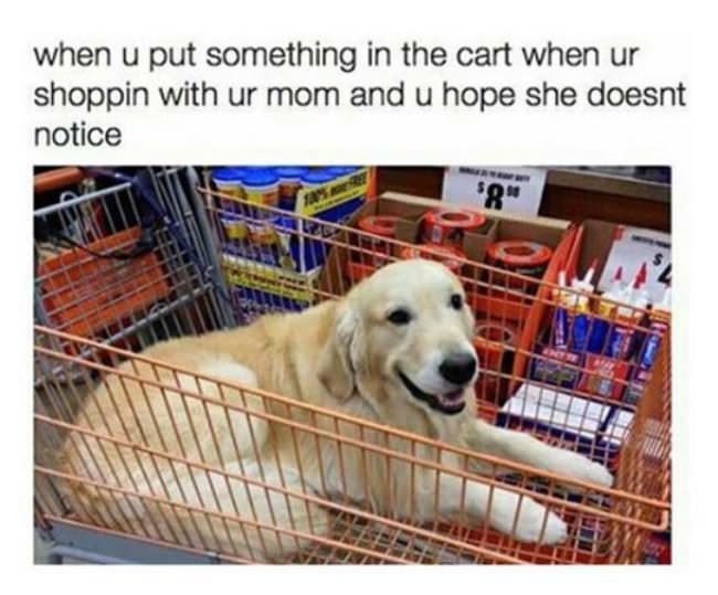 Put Something In The Cart