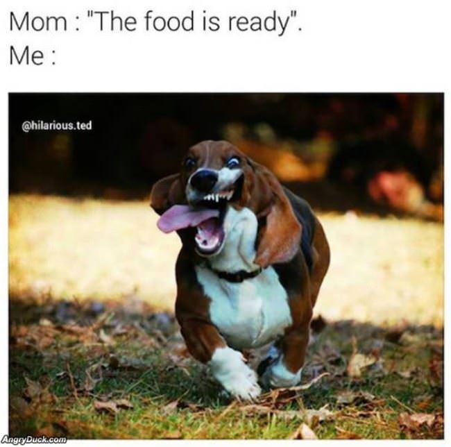 The Food Is Ready