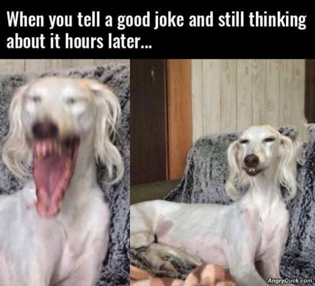 When You Tell A Good Joke