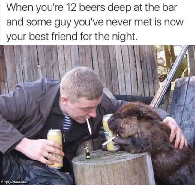 12 Beers Deep