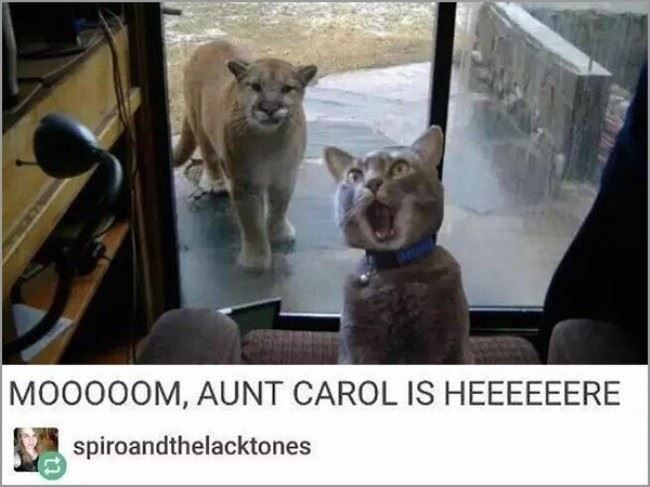 Moooom Aunt Carol Is Here