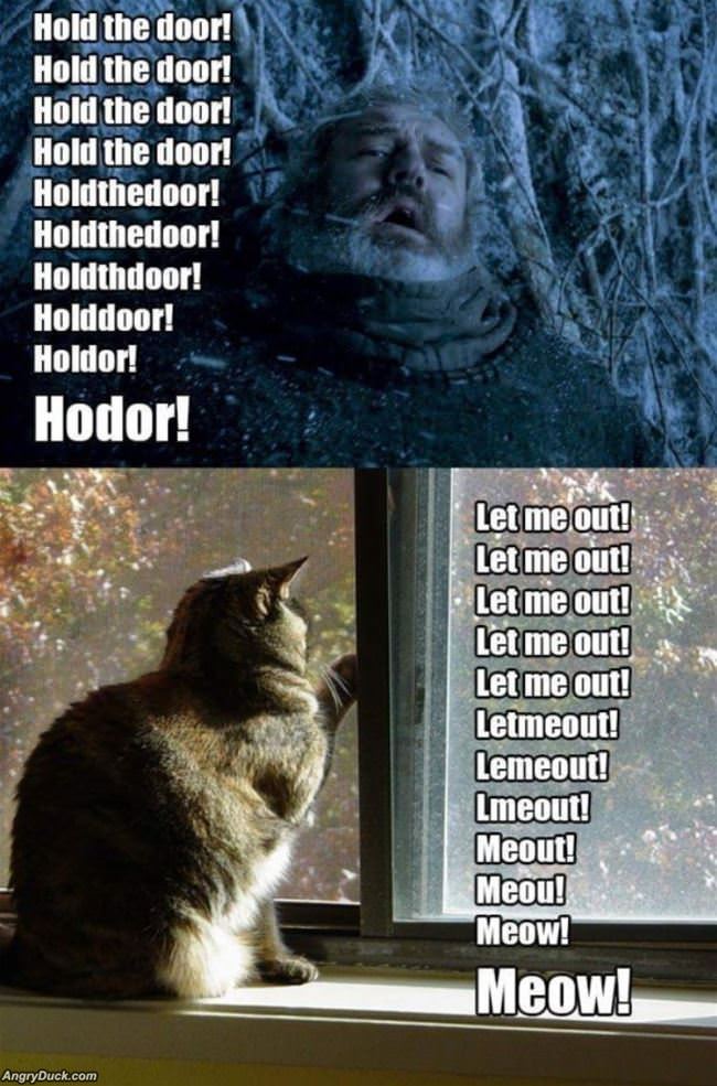 Hodor Meme