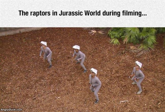 Jurassic Raptors