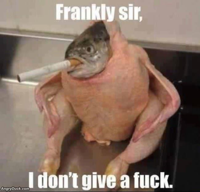 Frankly Sir