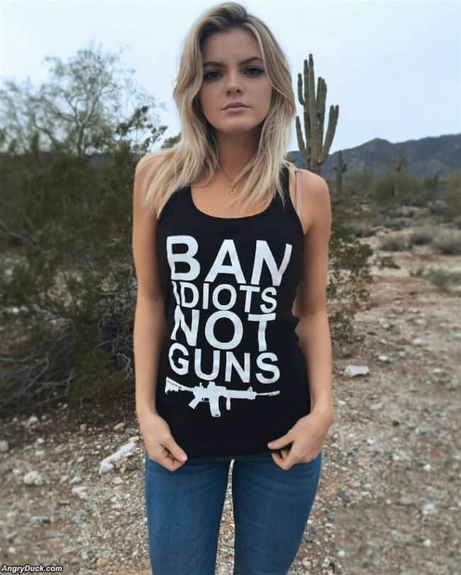 Ban Idiots Not Guns