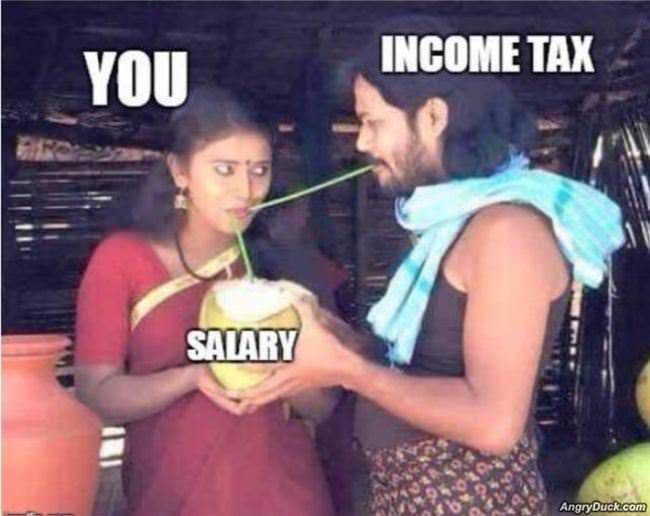 How The Taxes Work