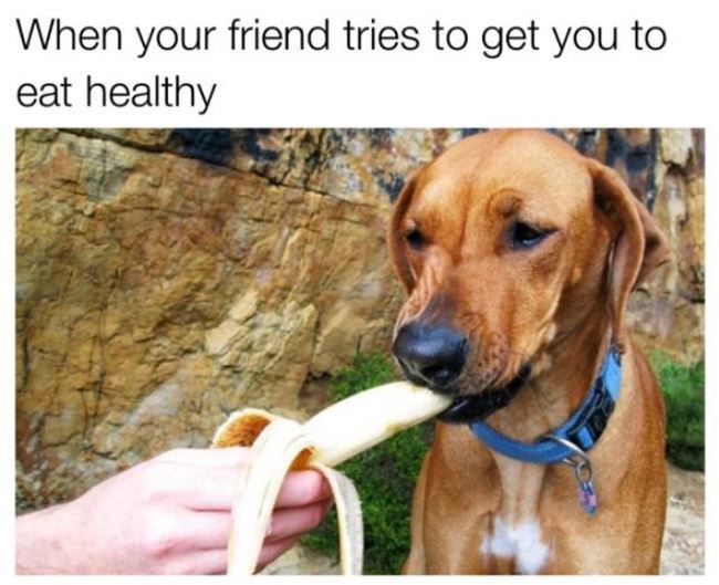 Tries To Get Me To Eat Healthy