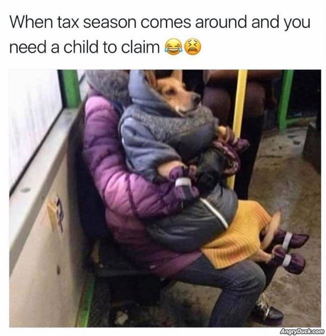 When Tax Season Rolls Around