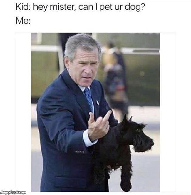 Can I Pet Your Dog