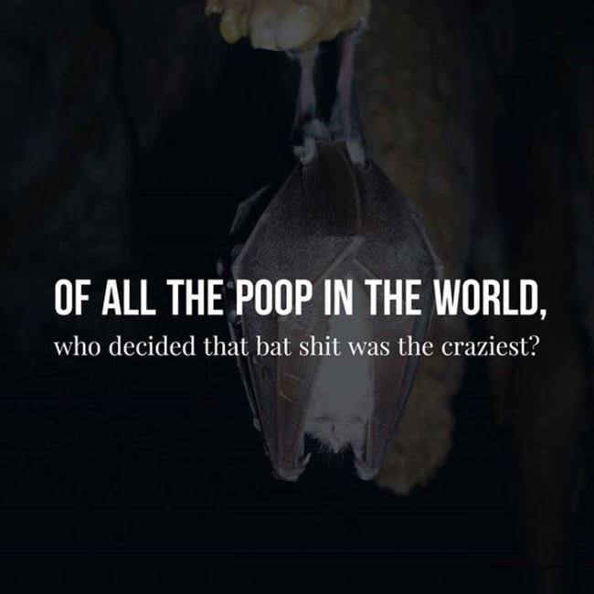 Of All The Poops