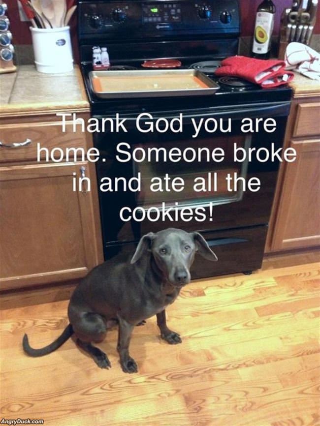 Someone Broke In And Ate All The Cookies