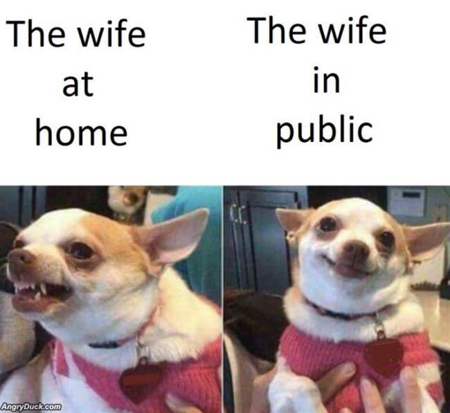 The Wife At Home And Public