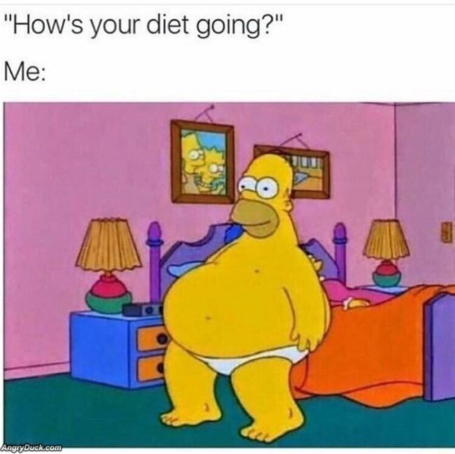 Hows The Diet Going