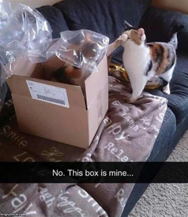 No This Box Is Mine