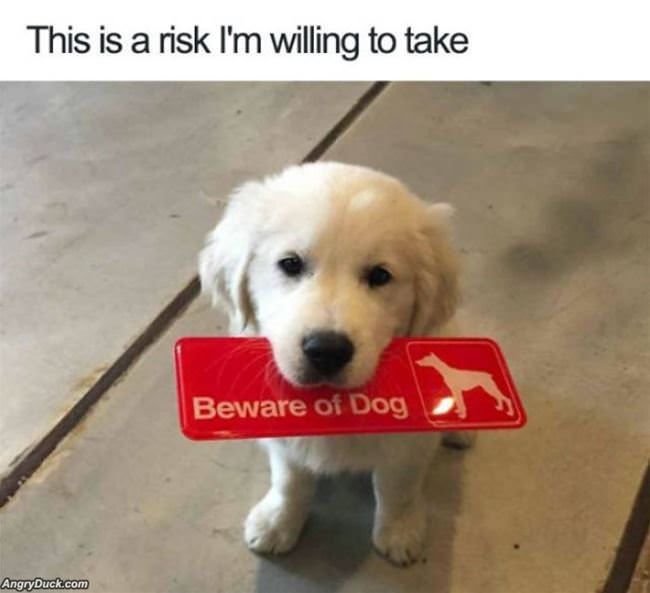 Risk I Am Willing To Take