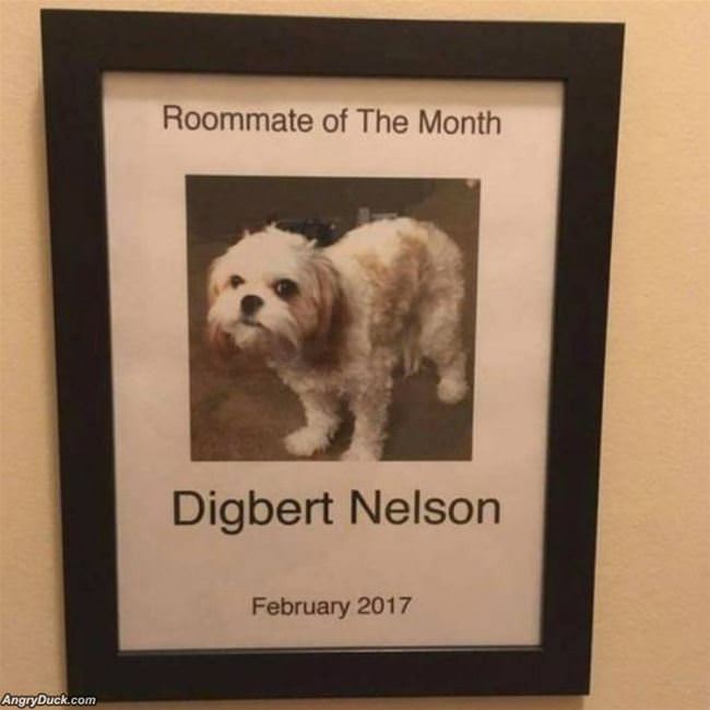 Roomate Of The Month