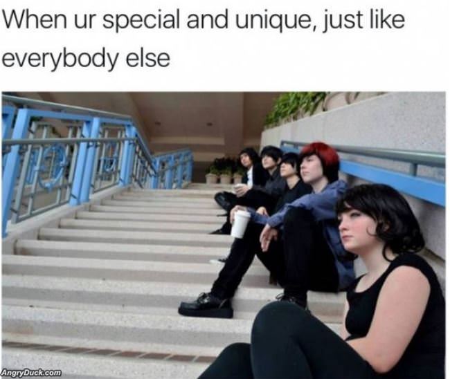 Special And Unique