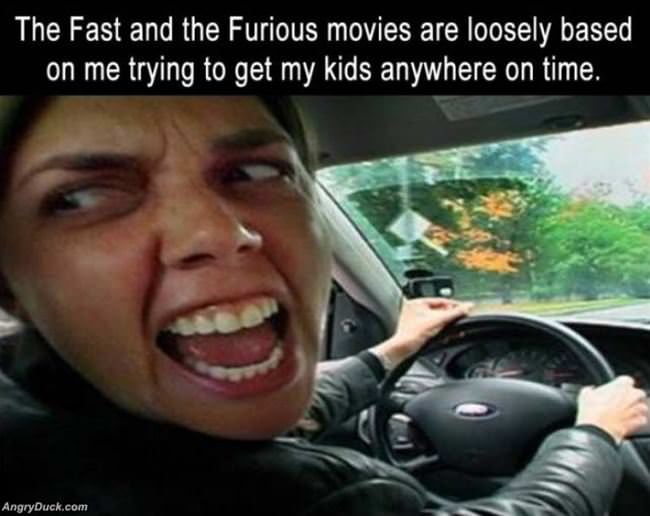 The Fast And Furious Movies