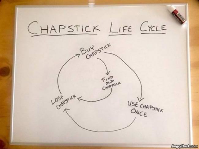 Chapstick Life Cycle