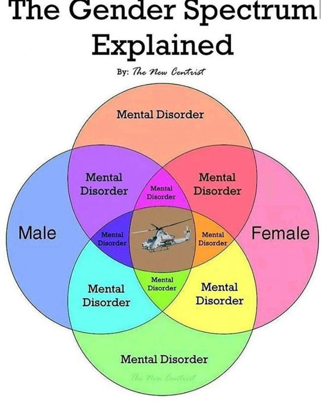 The Gender Spectrum Explained