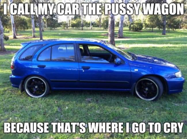 The Pussy Wagon