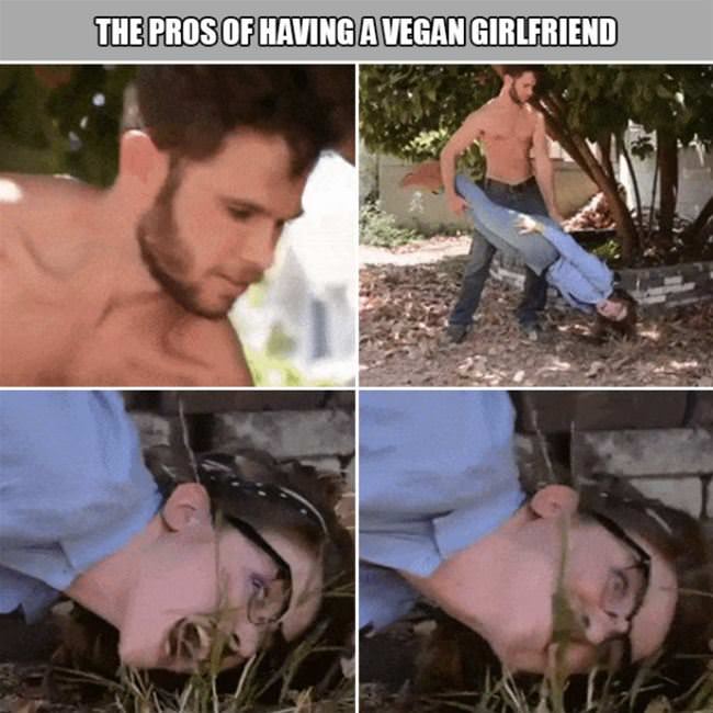 Vegan Girlfriend